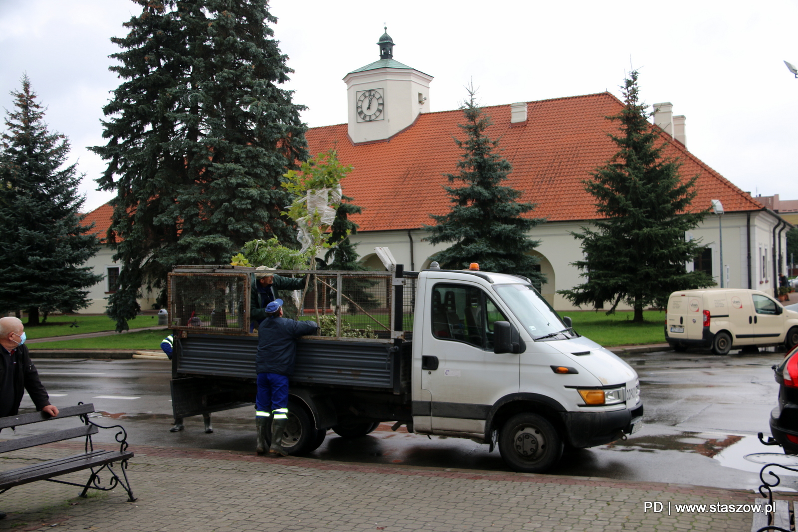 Na zdjęciu nowe drzewka na terenach zielonych Rynek