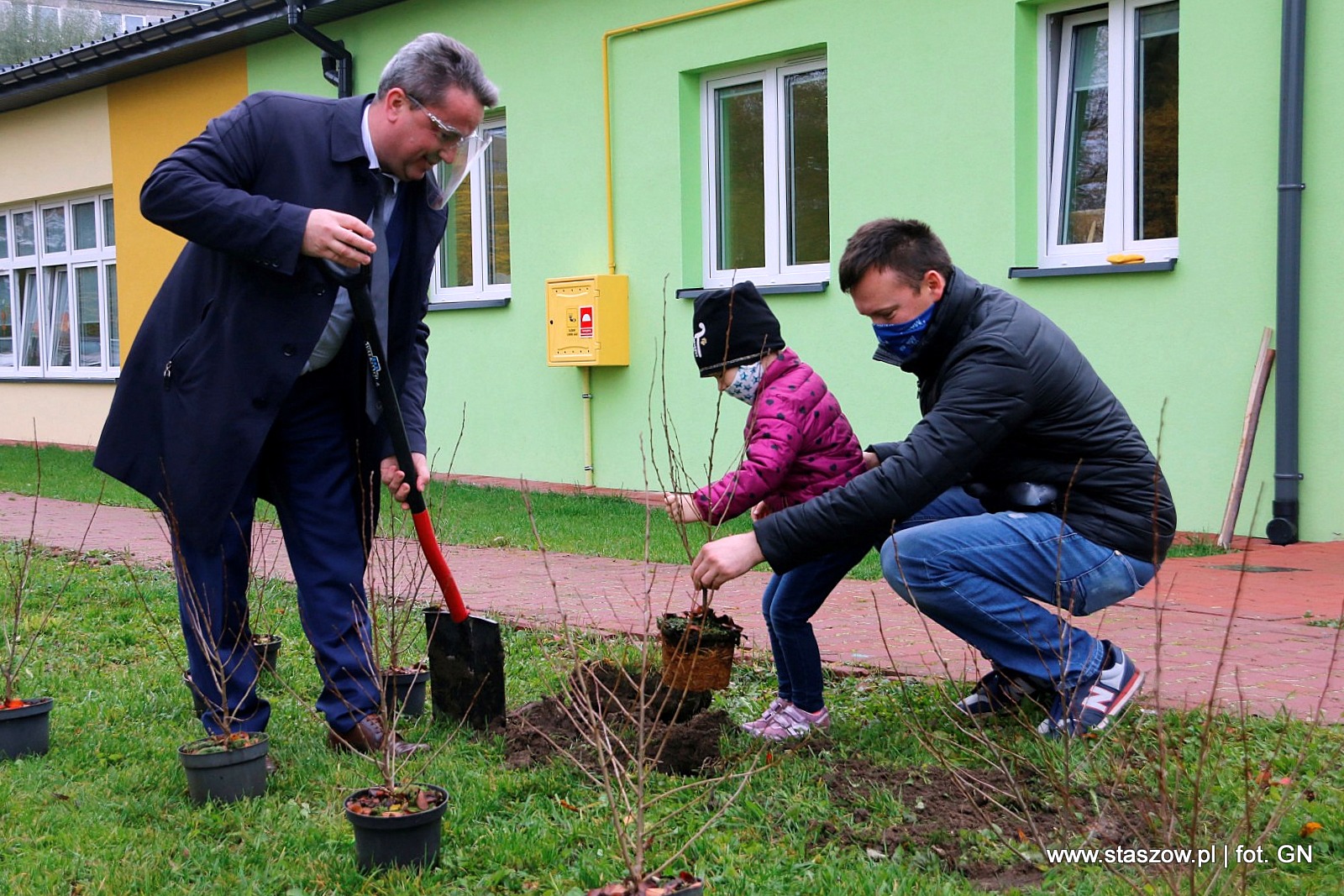 Burmistrz miasta i gminy Staszów pomaga sadzić drzewa na osiedlu Wschód