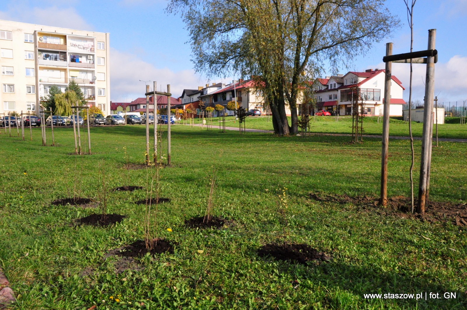 Nowe nasadzenia drzew i krzewów na Osiedlu Wschód