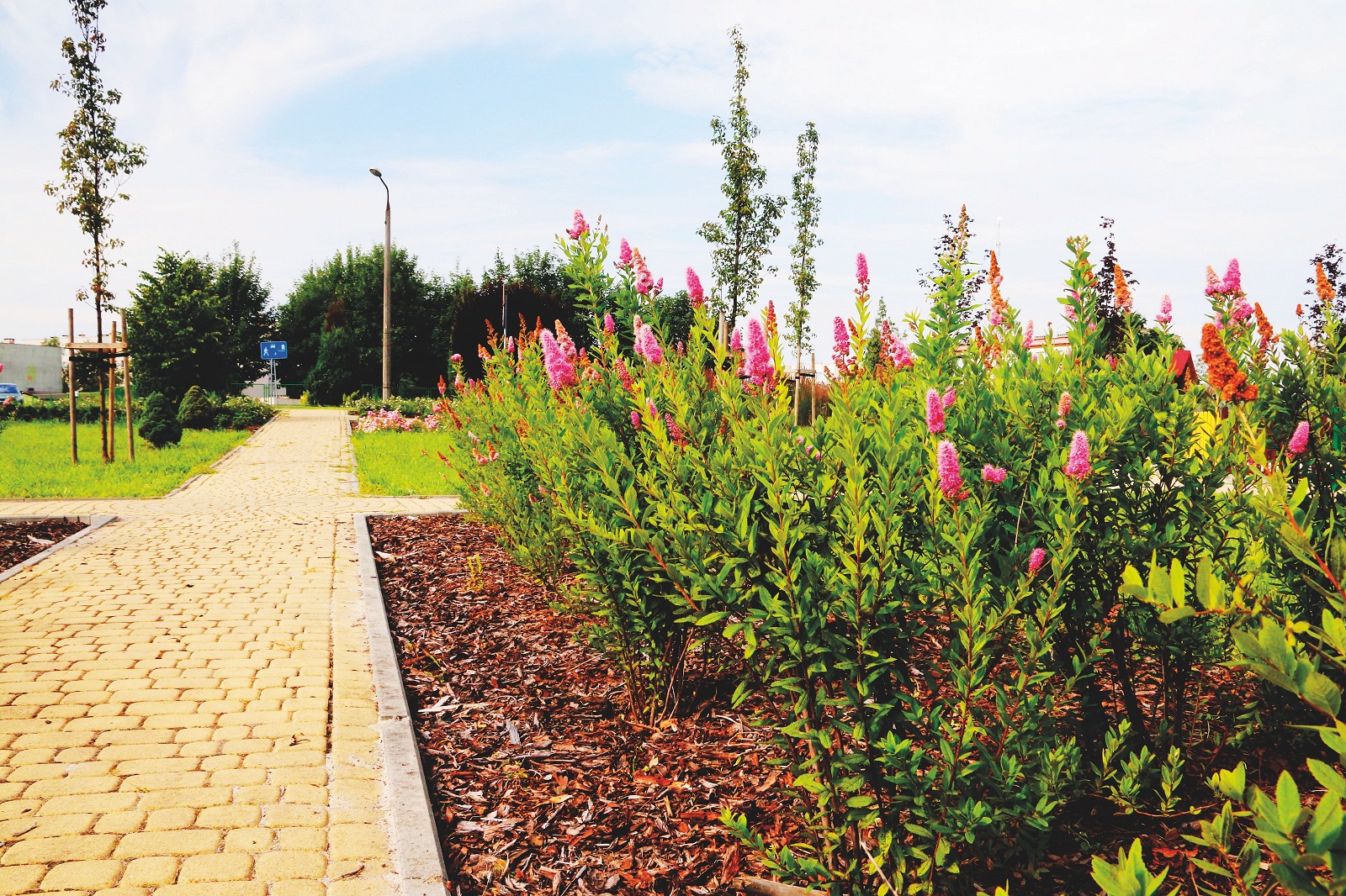 Park miejski im. Górników Siarkowych 