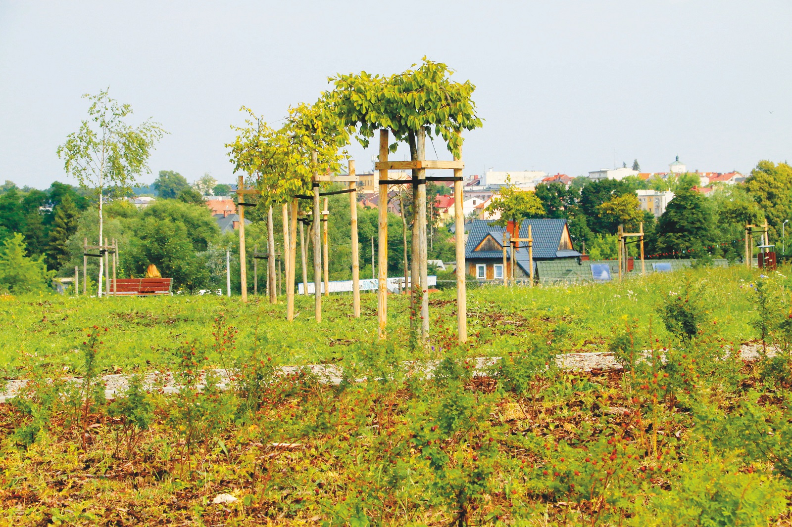 Park miejski im. Górników Siarkowych 