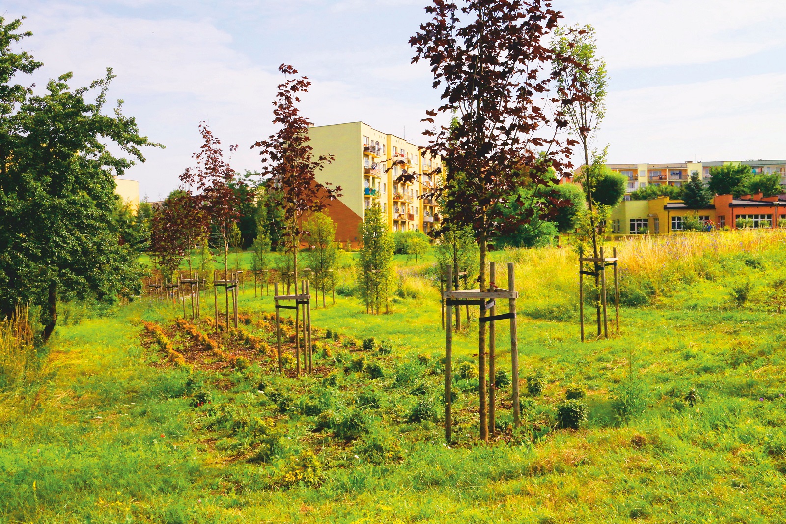 Park miejski im. Górników Siarkowych 