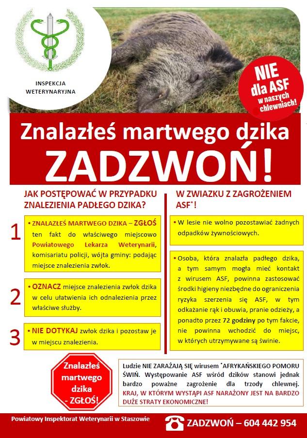 Ulotka informacyjna: JAK POSTĘPOWAĆ PO ZNALEZIENIU PADŁEGO DZIKA? 1. Jeżeli to możliwe, należy oznakować miejsce znalezienia zwłok dzika w celu ułatwienia ich odnalezienia przez właściwe służby 2. powstrzymać się od dotykania zwłok dzika i pozostawić je w miejscu znalezienia. Nie należy zbliżać się do miejsca znalezienia zwłok. 3. Należy zgłosić fakt znalezienia padłego dzika do właściwego miejscowo powiatowego lekarza weterynarii  lub najbliższej lecznicy weterynaryjnej, straży miejskiej, miejscowego koła łowieckiego lub powiadomić o tym fakcie starostę, burmistrza, wójta gminy. W trakcie zgłoszenia należy podać miejsce znalezienia zwłok (np. charakterystyczne punkty orientacyjne lub współrzędne GPS), dane osoby zgłaszającej (w tym numer telefonu kontaktowego), liczbę znalezionych zwłok dzików w danym miejscu, ewentualnie stan zwłok padłych dzików (stan ewentualnego rozkładu, wyłącznie kości). Należy pamiętać, że osoba, która: miała kontakt z dzikami na obszarach występowania ASF, po powrocie do domu musi zastosować środki higieny ograniczjące ryzyko szerzenia się ASF, w tym odkazić ręce, starannie wyczyścić i zdezynfekować obuwie, a odzież przeznaczyć do prania; znalazła padłego dzika (i potencjalnie mogła mieć kontakt z wirusem ASF) przez 72 godziny po tym fakcie nie powinna wchodzić do miejsc, w których utrzymywane są świnie i nie powinna wykonywać czynności związanych z obsługą świń.